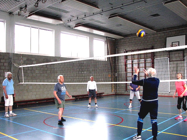 Plaatje volleyballokatie